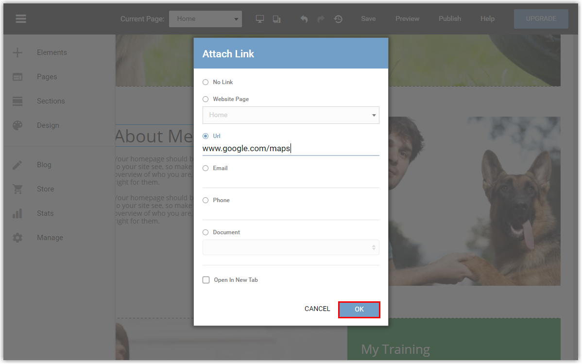 Click Okay