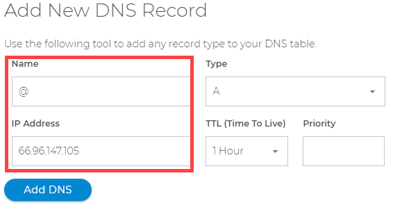 Type in the DNS record value