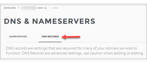 Click DNS Record Tab