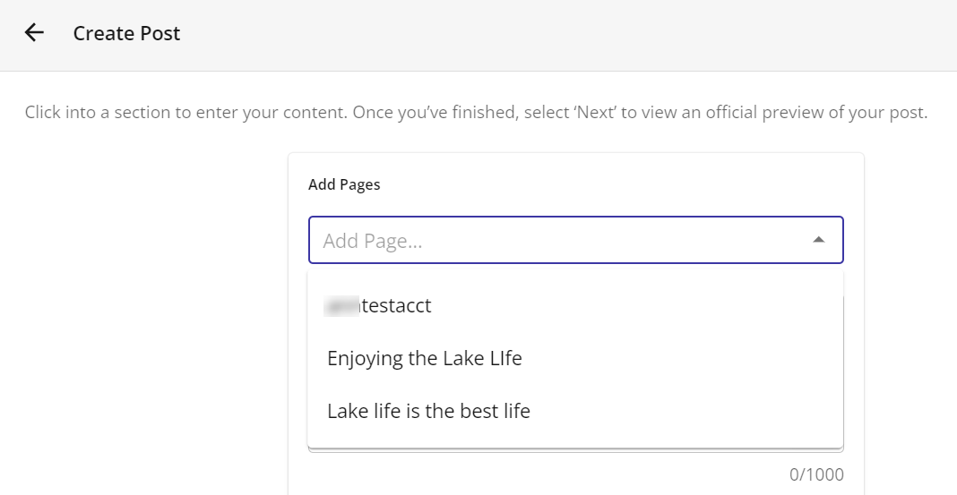 SocialBooster - Create Post Fields Pages