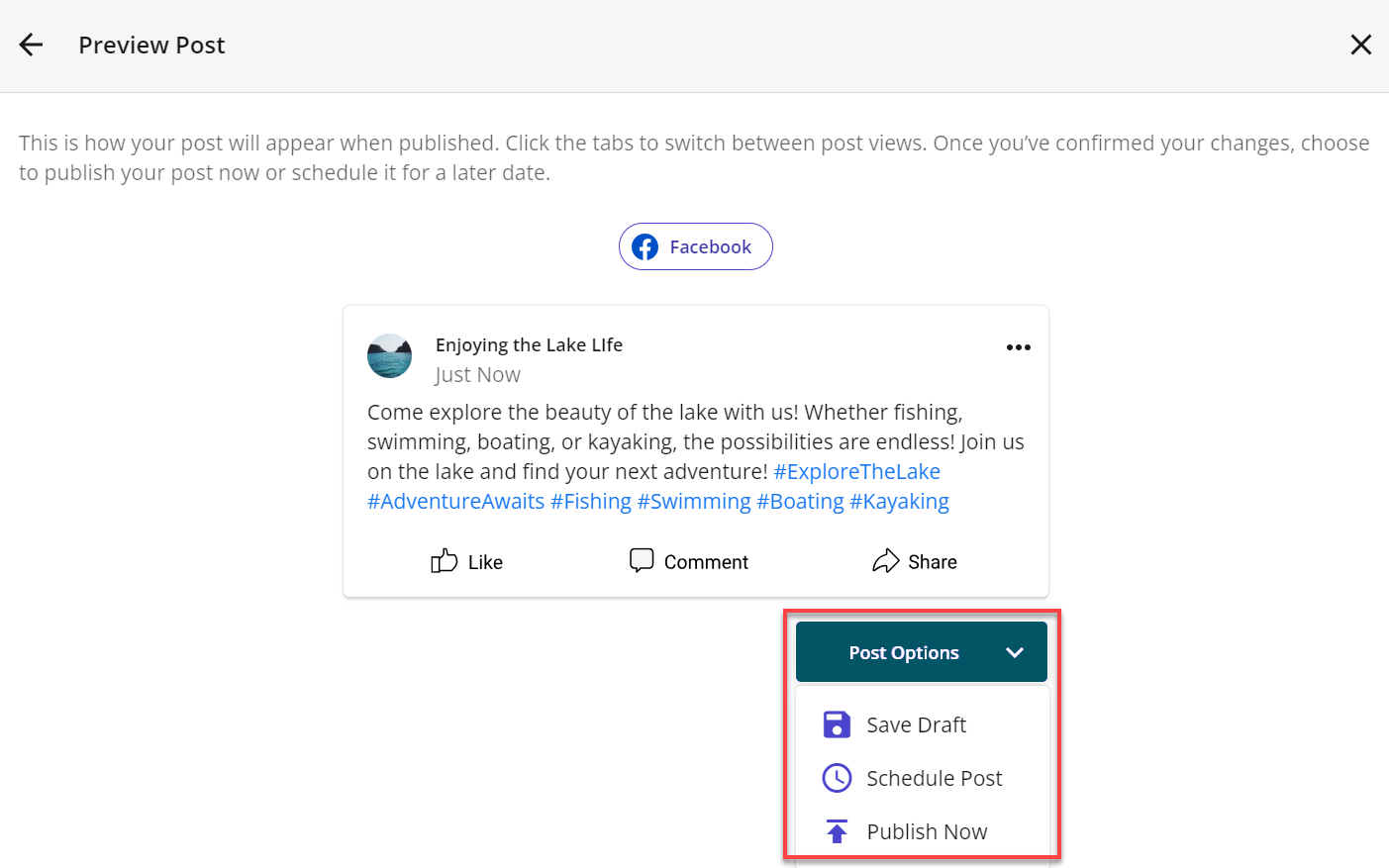 SocialBooster - Create Post Options