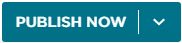 Publish Now button