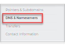 DNS & Nameservers Tab
