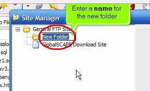 Name of the new folder