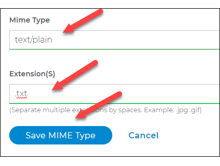type-in MIME type and extentions