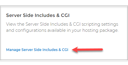 Manage Server Side Includes & CGI