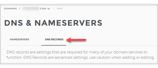 DNS Records tab