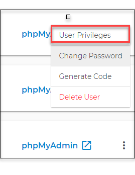 User Privileges