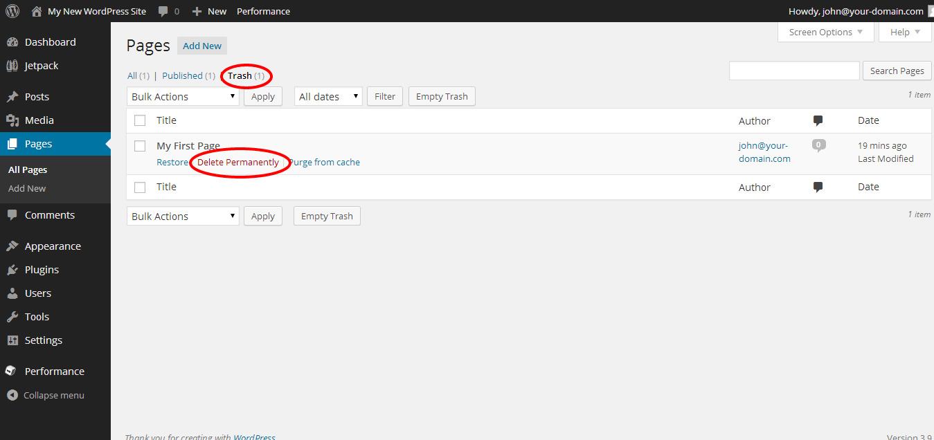 WordPress How to Delete a Page MyDomain