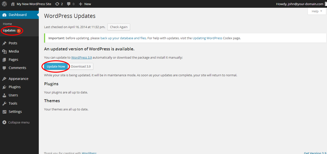 Update your WordPress Installation