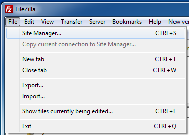 Site Manager