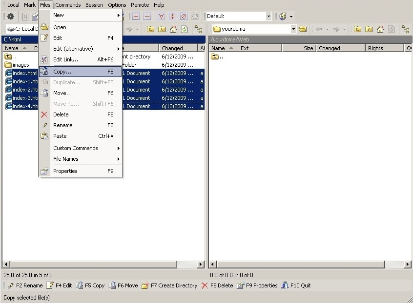 Click the Files menu, then select Copy